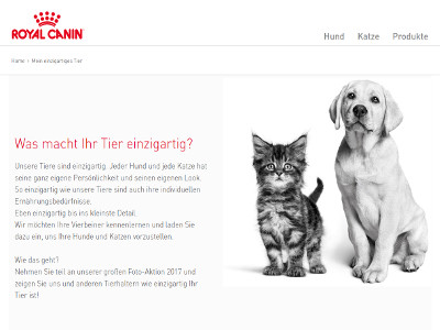 Gewinnspiel: Haustier-Fotoshooting & Royal Canin Jahresvorrat