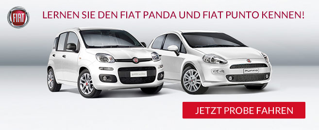 Gewinnspiel: FIAT Punto und Panda