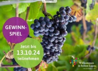 Gewinnspiel: Nachhaltiges Weinpaket gewinnen!